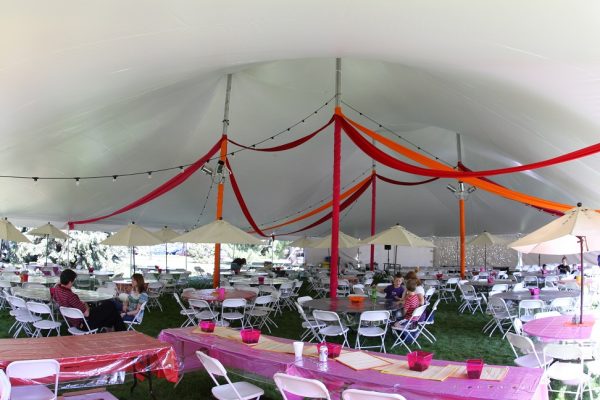 Pole Tents - Image 4