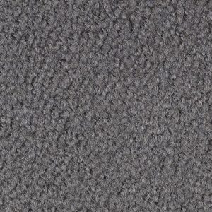 Gray Carpet