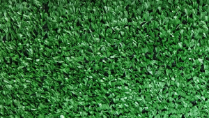 Green Astro Turf (Per SqFT)