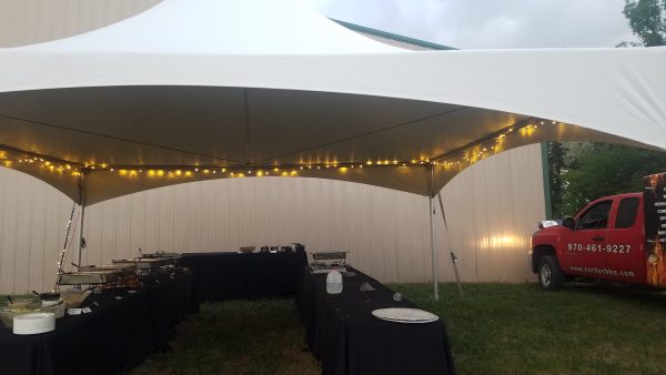 Twinkle Light LED 50' Strand - Image 2