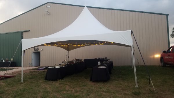 Twinkle Light LED 50' Strand - Image 3