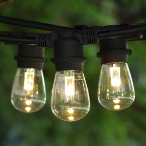 Market String Lights 48'