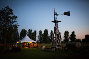 Catherine and Craig-2451
