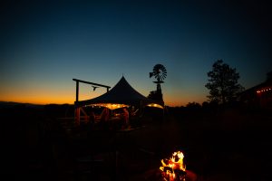 Catherine and Craig-2493