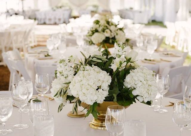 wedding equipment rentals in fort collins