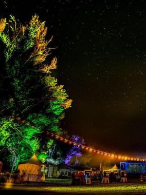 reserve-your-festival-rentals Lights and other festival rentals at an outdoor event