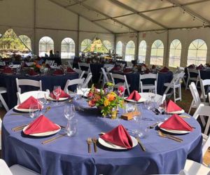 Colorful linen rentals for nonprofit events available in just about any color tp match your theme or brand